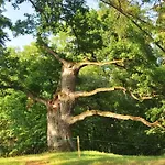 Osrodek Wypoczynkowy Lansk Üdülőpark Stawiguda