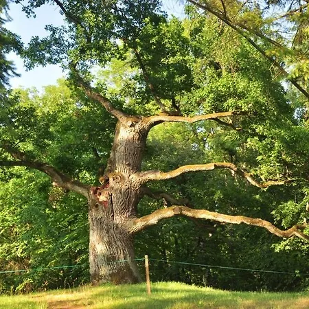 Osrodek Wypoczynkowy Lansk ホリデーパーク スタビグダ