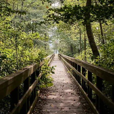 Osrodek Wypoczynkowy Lansk * スタビグダ