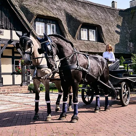 ホリデーパーク Osrodek Wypoczynkowy Lansk スタビグダ