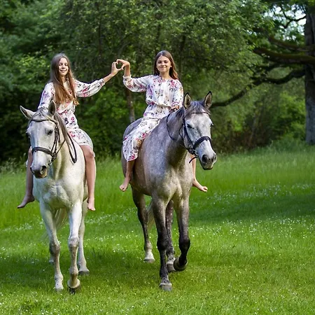 ホリデーパーク Osrodek Wypoczynkowy Lansk スタビグダ