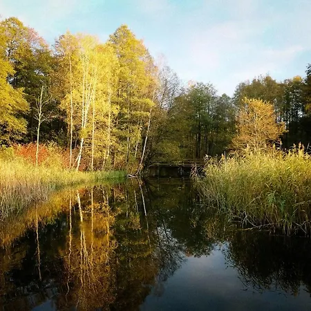 ホリデーパーク Osrodek Wypoczynkowy Lansk *