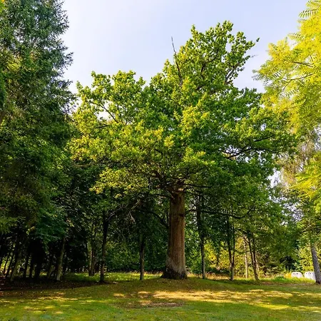 Osrodek Wypoczynkowy Lansk Stawiguda