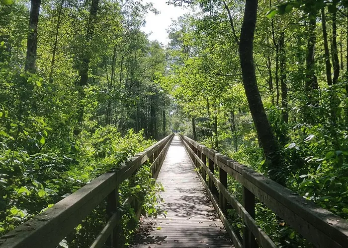 Osrodek Wypoczynkowy Lansk *